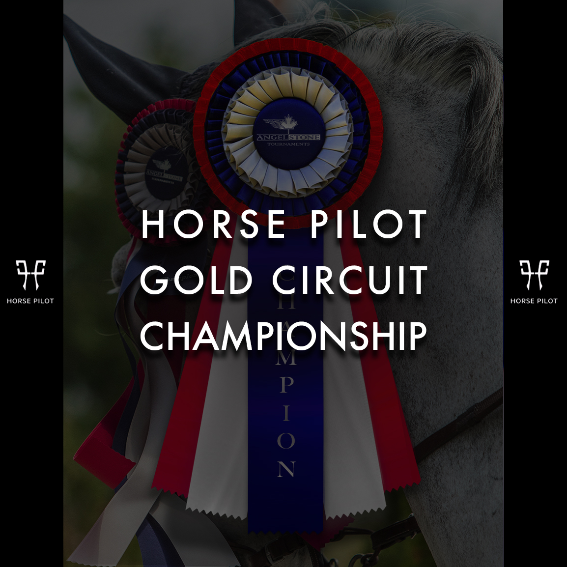 Championship Rosettes